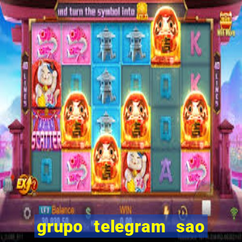 grupo telegram sao jose do rio preto